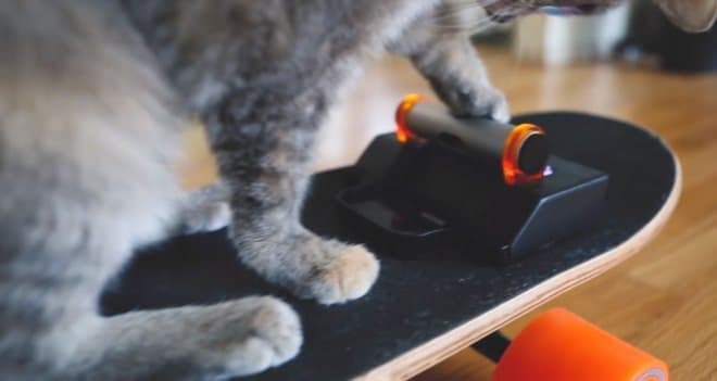 ネコ用の電動スケボーをDIY － 優れたネコ用UIが素敵