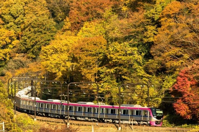 高尾山から新宿まで、乗り換えなしで座って帰れる 臨時座席指定列車「Mt.TAKAO号」