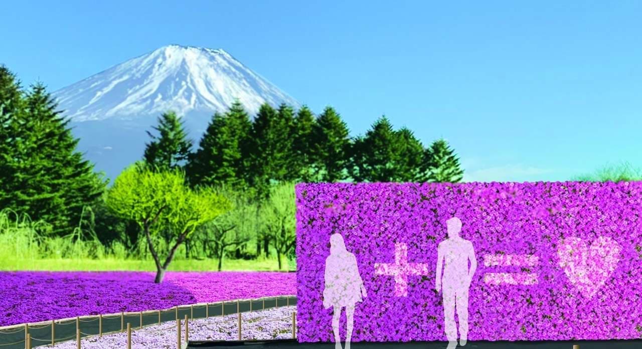 今年のグルメイベントは「富士山麺めぐり」―「2019富士芝桜まつり」