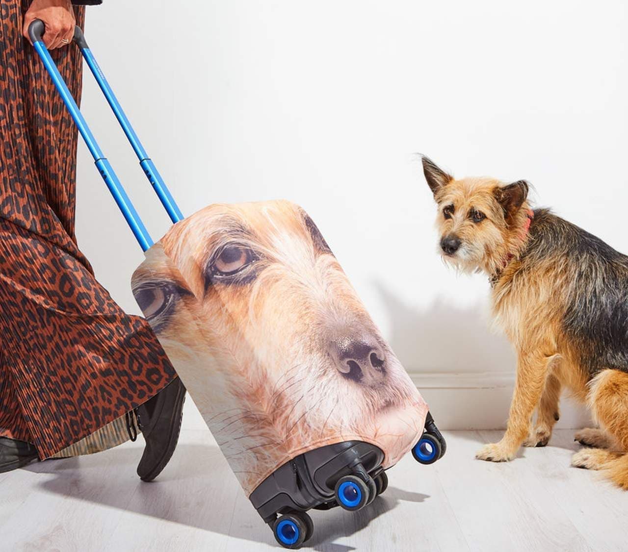 ペットの写真をスーツケースカバーにする「Pet Head Case」