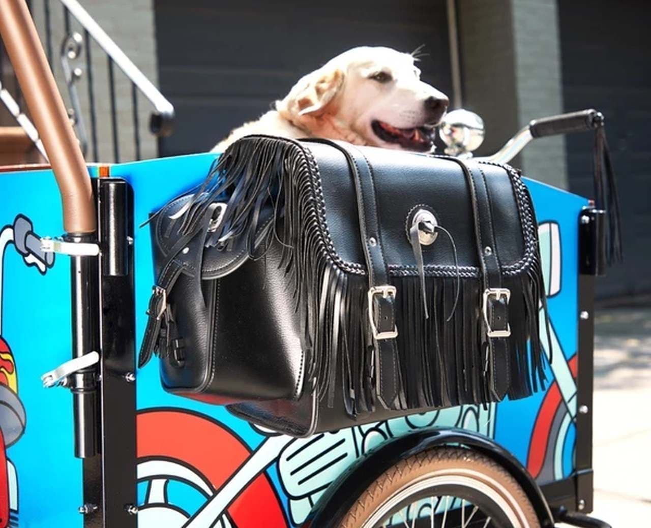 犬専用のカーゴバイク「The Bark」