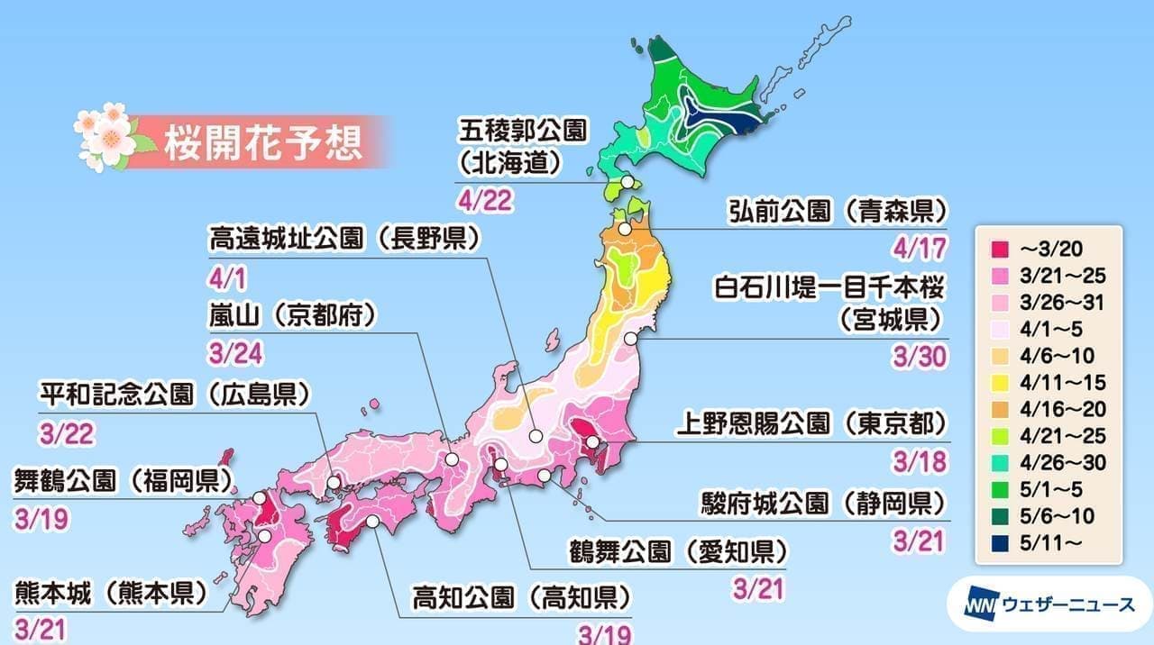 今年の桜開花は3月17日に東京からスタートし、18日に横浜、福岡が続くとしている。