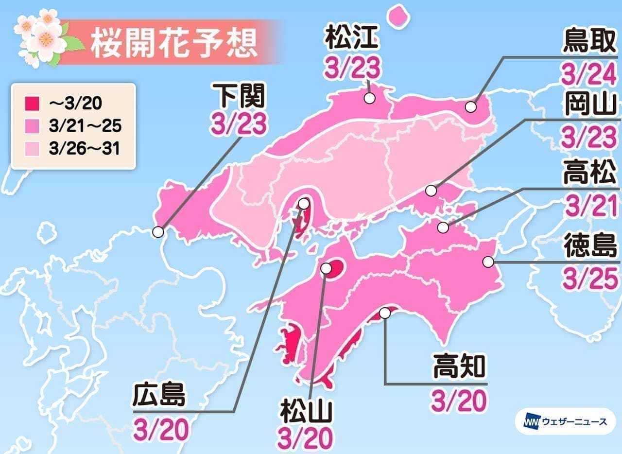 ウェザーニューズが「第六回桜開花予想」発表