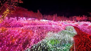 400万球のイルミネーションが点灯！ ― 関東最大級のイルミネーションイベント「さがみ湖イルミリオン」