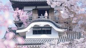 名鉄×犬山市　「町あるき」「桜」をテーマとした観光キャンペーン