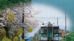 「徳島線」全線開通100周年記念　沿線探検スロー列車「徳島線花」号、3月から運行
