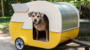 犬だって、キャンピングカーに泊まりたい！― キャンパー風の犬小屋「Indoor Camper Doghouse」