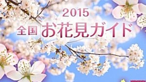 花見の人気 No.1は「千鳥ケ淵緑道」--BIGLOBE が「全国お花見ガイド2015」を公開