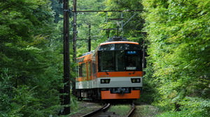 春のもみじも乙なもの--叡山電鉄「緑もみじのトンネル」をのんびり徐行運転