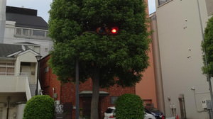 ちょっと怖いかも、街中に突然あらわれる「妖怪信号」-- 茨城県日立市