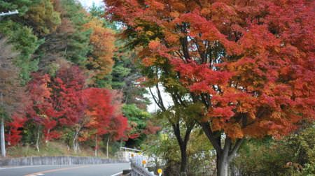 六甲で秋のドライブを楽しもう―「芦有ドライブウェイ」が通行料を割引