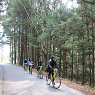 5月5日は自転車の日―「南三陸 里山×里海サイクリング みなチャリ！」スタート