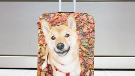 愛犬、愛猫の写真をスーツケースカバーにする「Pet Head Case」 ― 大好きなペットの柄なら、スーツケースがすぐに見つかる