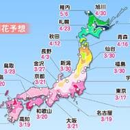 桜開花は、3月17日の東京からスタート － ウェザーニューズが「第五回桜開花予想」発表