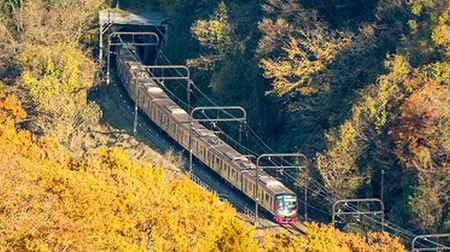 高尾山までノンストップ！ ― 紅葉シーズンに向けて京王電鉄の「Mt. TAKAO号」今年も運行